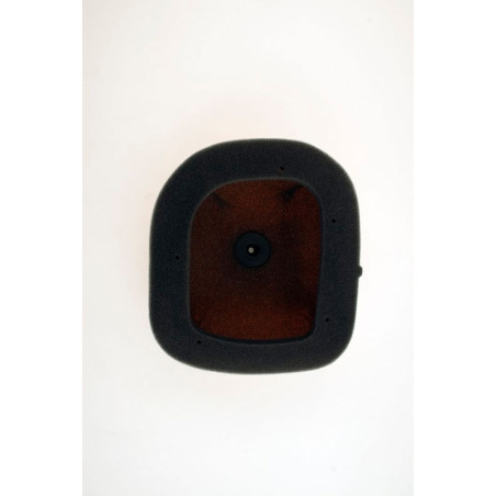 Filtro de aire TWIN AIR Powerflow - 154215FRN