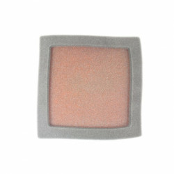 Filtro de aire TWIN AIR Polaris Predator 500 - 156141FR 2