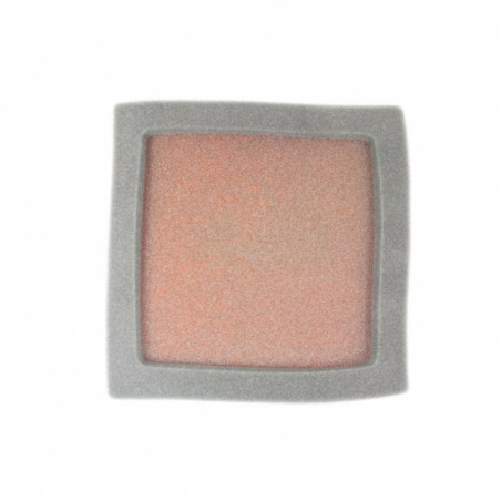 Filtro de aire TWIN AIR Polaris Predator 500 - 156141FR
