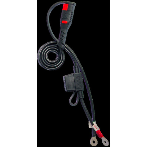 Cargador / mantenedor de baterías inteligente BS BATTERY BS10 - 6/12V 1A