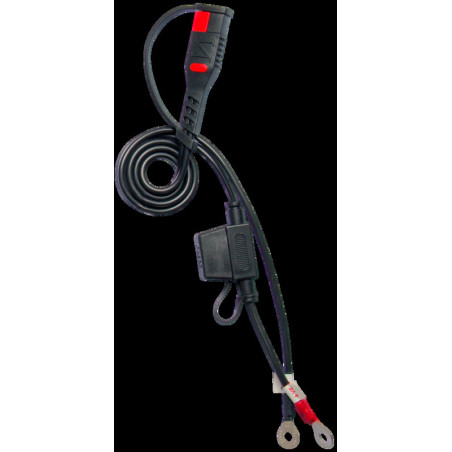 Cargador / mantenedor de baterías inteligente BS BATTERY BS10 - 6/12V 1A