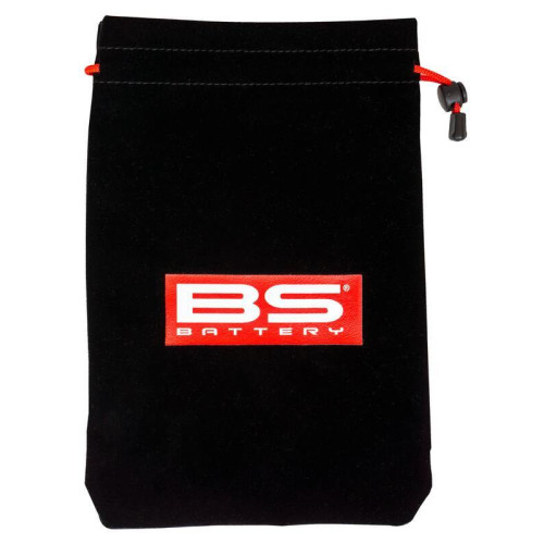 Cargador / mantenedor de baterías inteligente BS BATTERY BS10 - 6/12V 1A