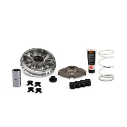 Variador MALOSSI Multivar 2000