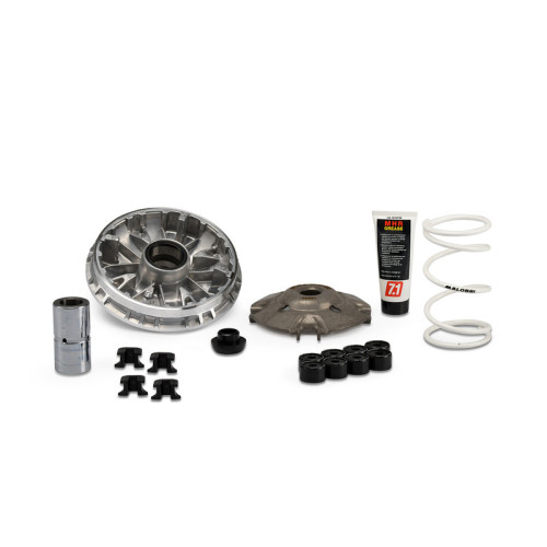 Variador MALOSSI Multivar 2000
