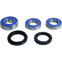 Kit de rodamientos de rueda ALL BALLS 2