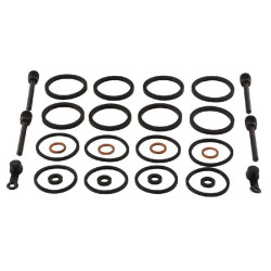 Kit reparación de pinzas de freno ALL BALLS