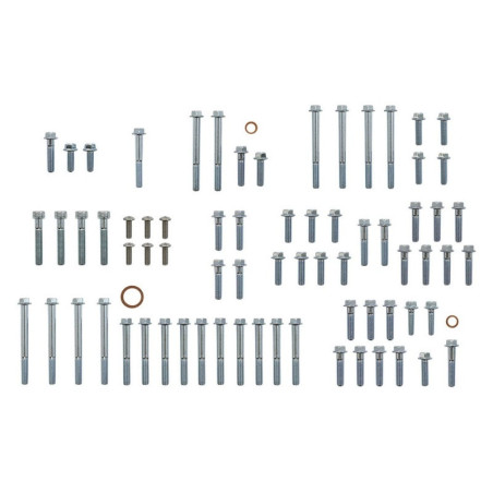 Kit tornillería de motor BOLT