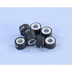 Rodillos de variador POLINI 25X16 G. 17,0