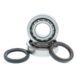 Kit de rodamientos y retenes de cabeza de biela HOT RODS - CRF 450