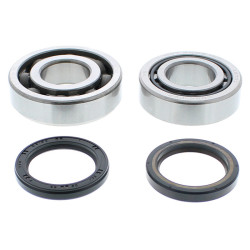 Kit de rodamientos y retenes de cabeza de biela HOT RODS - CRF 450 2