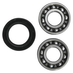 Kit de reparación de balancín HOT RODS - Honda CRF 250 R / RX