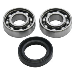 Kit de reparación de balancín HOT RODS - Honda CRF 250 R / RX 2