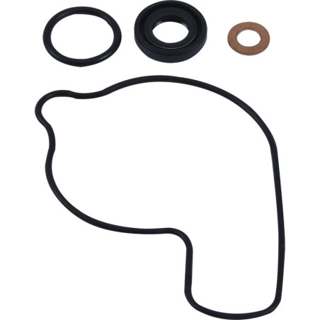 Kit de reparación de bomba de agua HOT RODS - Honda CRF 450 R / RWE / RX