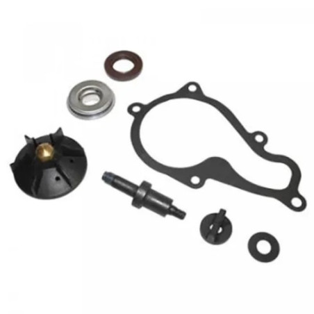 Kit de reparación de bomba de agua TOP PERFORMANCES - Piaggio Beverly 350