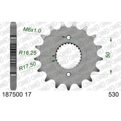 Piñón AFAM acero estándar 1875001 - 530