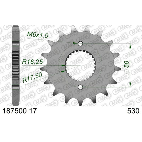 Piñón AFAM acero estándar 1875001 - 530