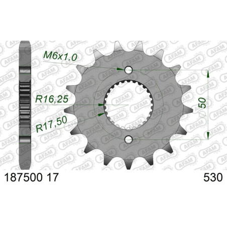 Piñón AFAM acero estándar 1875001 - 530