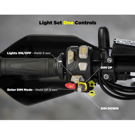 Controlador CANBus DENALI CANsmart™ GEN II - Triumph Tiger 900/1200
