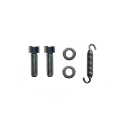 Escape completo MALOSSI RX Black 2
