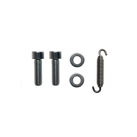 Escape completo MALOSSI RX Black