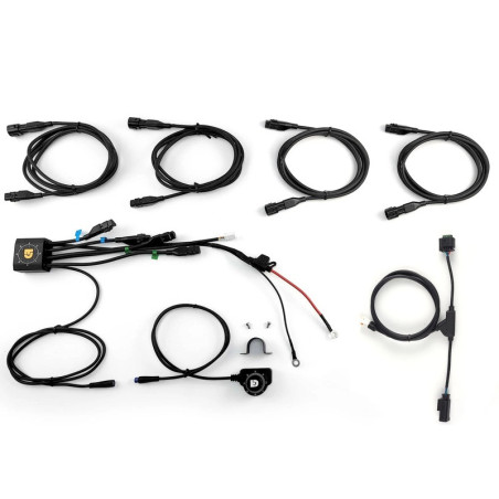 Controlador de iluminación DENALI DialDim - BMW R1250GS