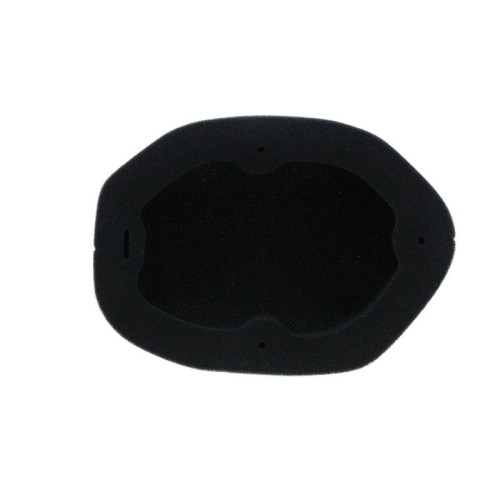 Filtro de aire ignífugo prelubricado TWIN AIR - 151129FRX