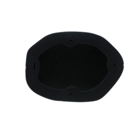 Filtro de aire ignífugo prelubricado TWIN AIR - 151129FRX