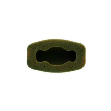 Filtro de aire TWIN AIR pre-lubricado - 154011X