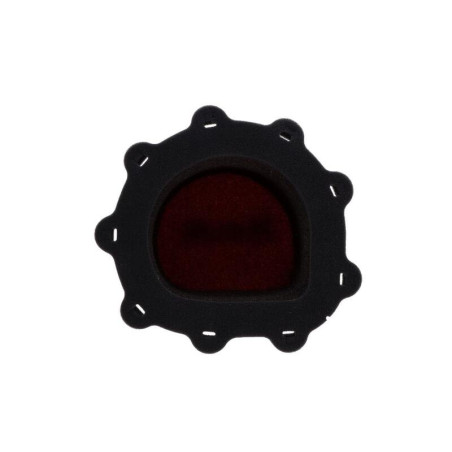 Filtro de aire ignífugo TWIN AIR - 156024FR
