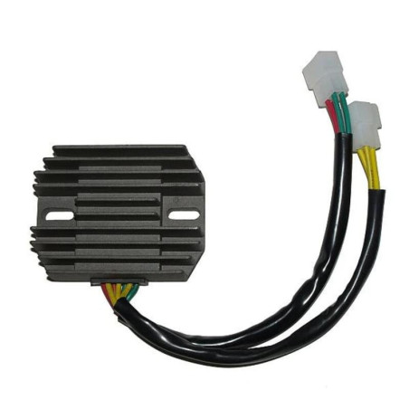 Regulador ELECTROSPORT