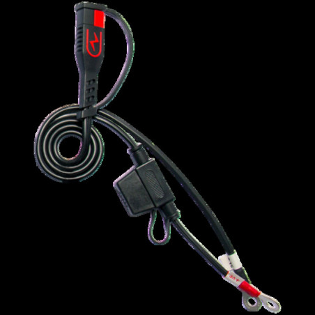 Cargador de bateria inteligente BS Battery BS30 - 12V 3A