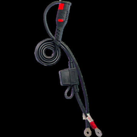 Cargador / mantenedor de baterías inteligente BS BATTERY BS15 con función de reacondicionamiento - 12V 1,5A