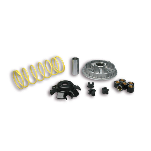 Variador MALOSSI Multivar 2000
