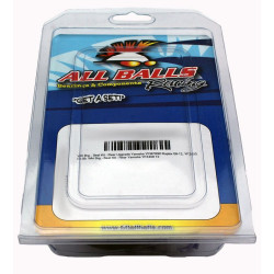 Kit rodamientos de basculante ALL BALLS