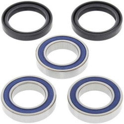 Kit de rodamientos de rueda ALL BALLS