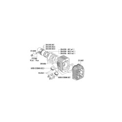Kit de cilindro completo POLINI hierro Ø47mm (bulón Ø12mm) 2