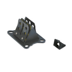Caja de láminas MALOSSI VL6 con láminas de karbonit 0,30mm