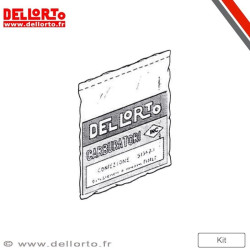 Centralita ECU ECS DELLORTO Original 45Km/h