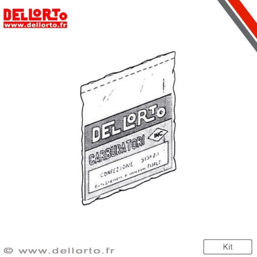 Centralita ECU ECS DELLORTO Original 45Km/h
