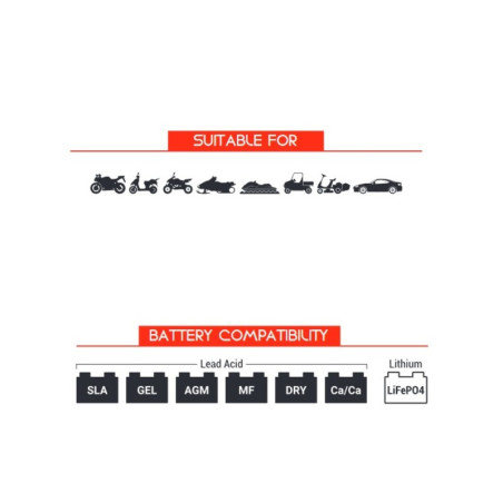 Cable de conexión permanente con fusible BS BATTERY PA-01 - Bote de 20 uds