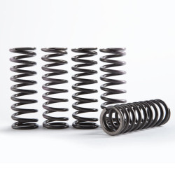 Kit de muelles de embrague HINSON Hi-Temp