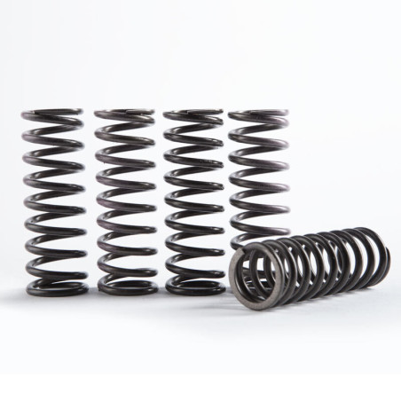 Kit de muelles de embrague HINSON Hi-Temp