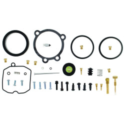 Kit reparación de carburador ALL BALLS 2