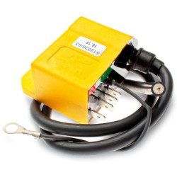 CDI TOP PERFORMANCES avance fijo - Minarelli AM6 y encendido Ducati de 6 bobinas