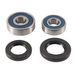 Kit de rodamientos de rueda trasera ALL BALLS