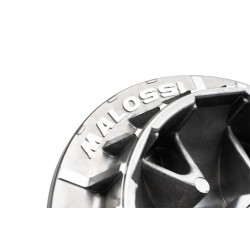 Variador MALOSSI Multivar 2000 2
