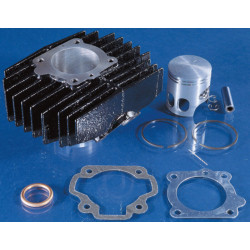 Kit de cilindro POLINI hierro Ø46mm