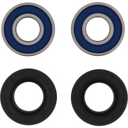 Kit de rodamientos de rueda trasera ALL BALLS 2