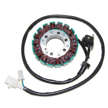 Estátor ELECTROSPORT