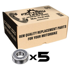 Pack de rodamientos FACTORY LINKS - 63005 2RS (x5)